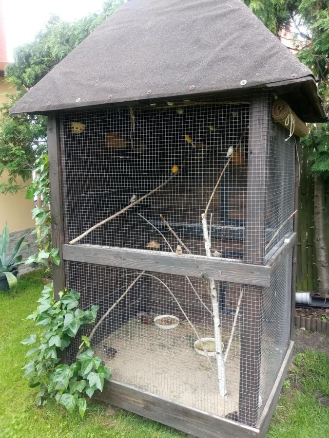 Agroturystyka U Agaty Chęciny Exterior foto